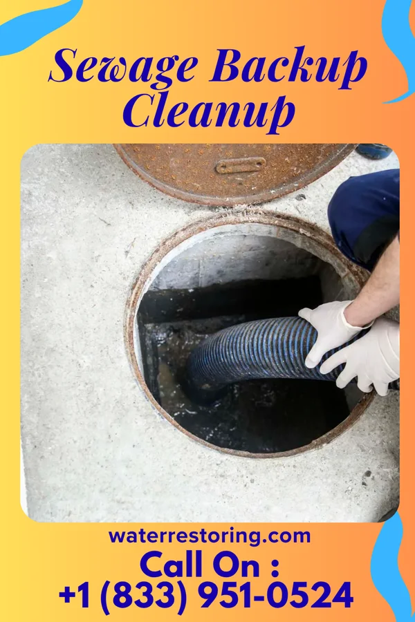 Sewage Backup Cleanup in Flower Hill, MD